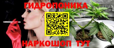 гидропоника Ипатово