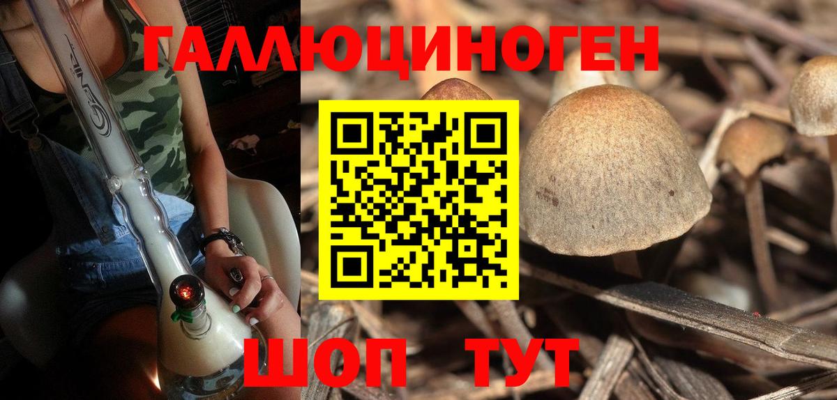 Лениногорск  Галлюциногенные грибы Cubensis  Вход с VPN  Галлюциногенные грибы Cubensis 
