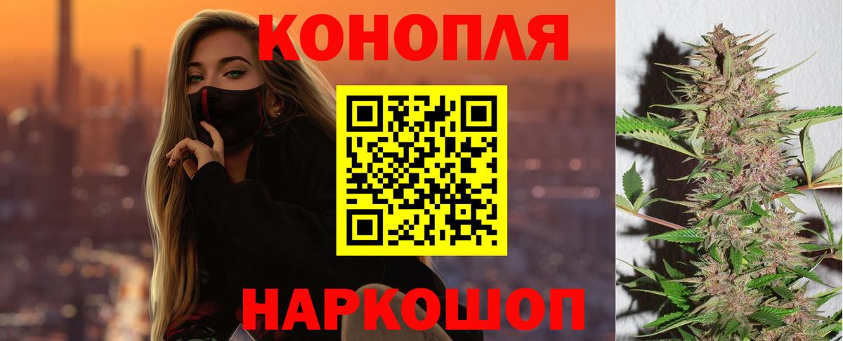 Марихуана сатива Лениногорск